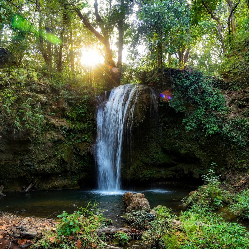 Hidden Gems and Insider Travel Tips for India