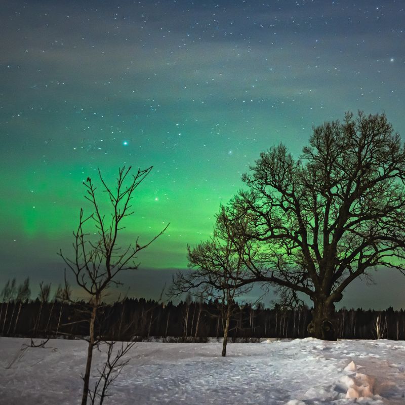 A guide to Russia’s Northern Lights