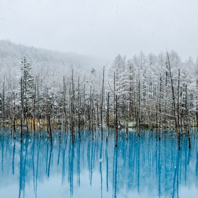 Japan in Winter: 5 Destinations Not To Miss