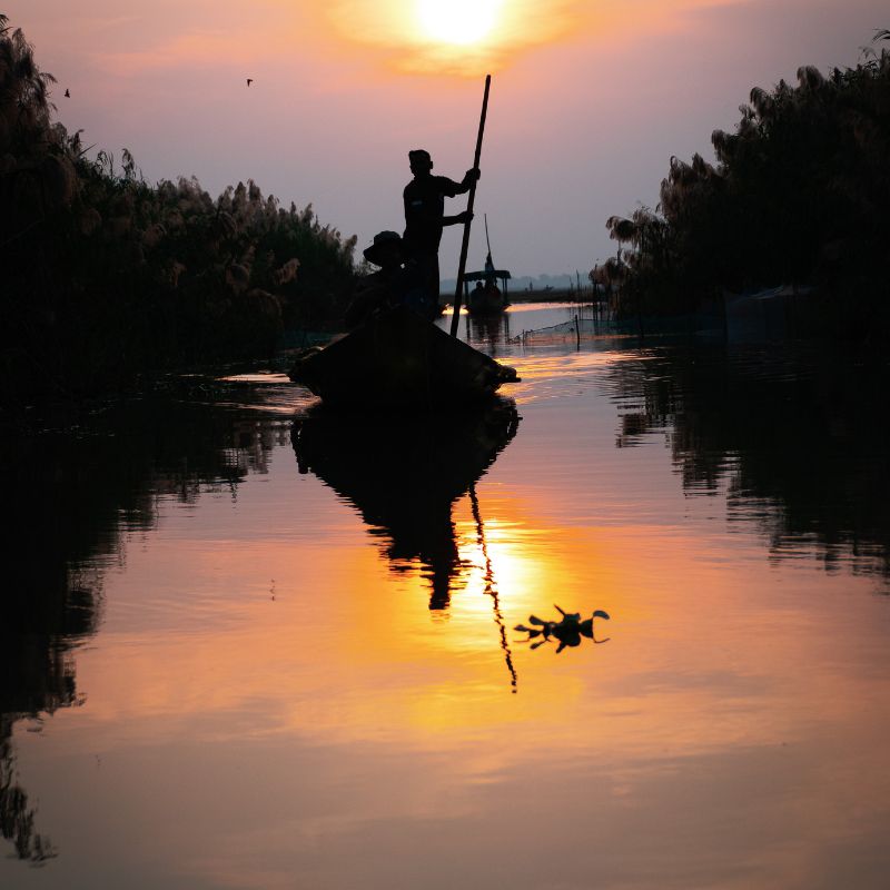 Mangalajodi: A Story of Birds, Wetlands, and Community Conservation