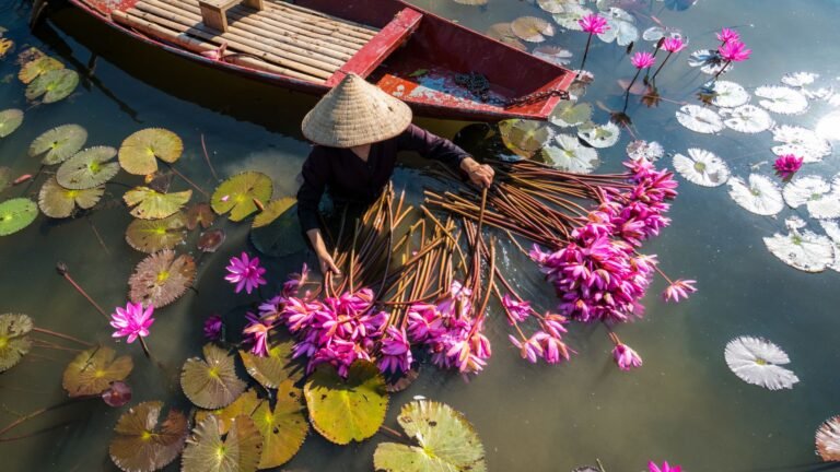 Vietnam_Hero